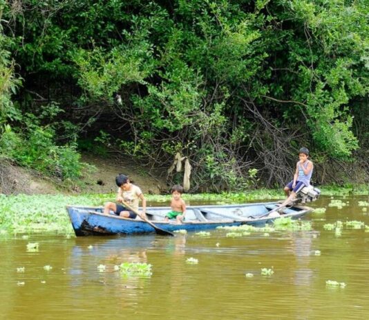 Amazon Rainforest