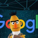 Google BERT Update