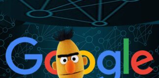 Google BERT Update