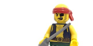 Software Copyright Protection