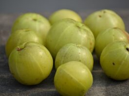 Amla fruit
