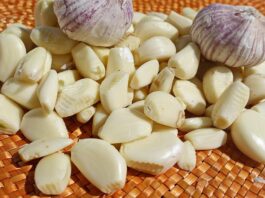 Garlic
