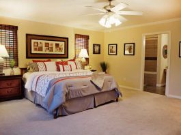 Ceiling Fans