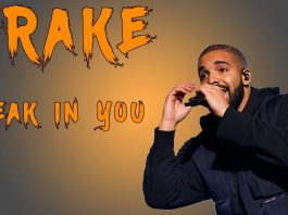 Drake Net Worth