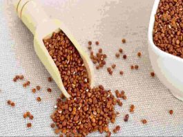Gluten-free Grains