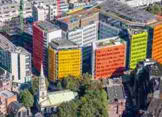 Google Office