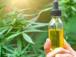 Myths Surrounding Cannabis