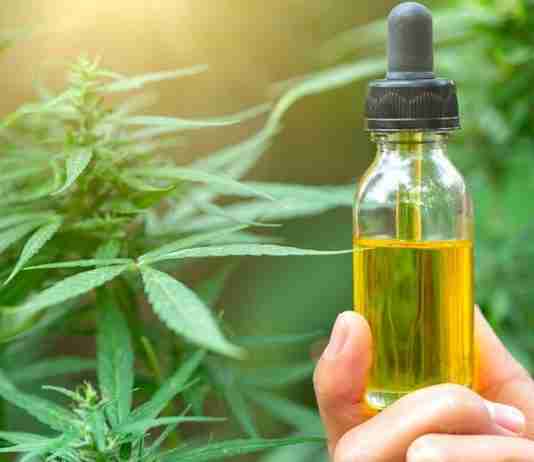 Myths Surrounding Cannabis