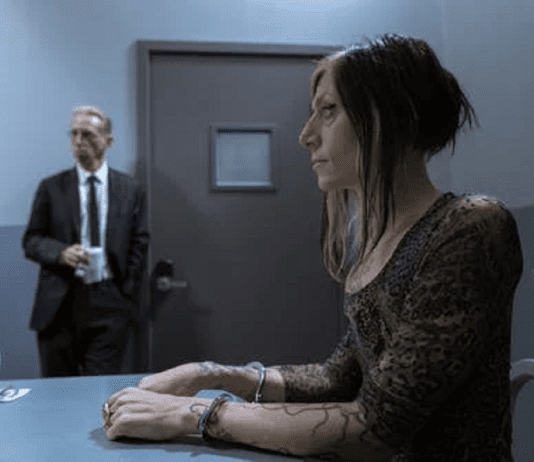 Criminal Lawyer