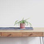 Types of Tables for Your Home