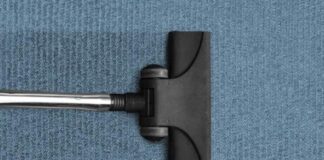 What is in Our Dirty Carpets??