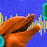 Earth Species Project: Using New AI to Communicate with All Animals