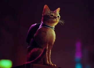 Stray Game