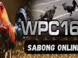 Wpc2025