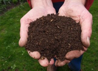 Compost at Home