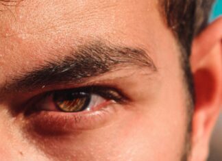 Eyebrow Serum
