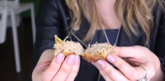 Plant-Based Meat Alternatives