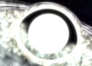 White Holes