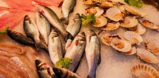 Fish Consumption by Country Per Capita