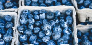 Largest Exporters of Blueberries in the World