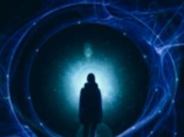 Quantum Entanglement Time Travel Simulation