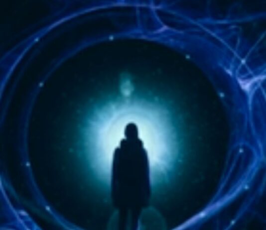 Quantum Entanglement Time Travel Simulation