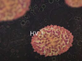 HV.1 Dominant Covid Variant Symptoms Vaccines