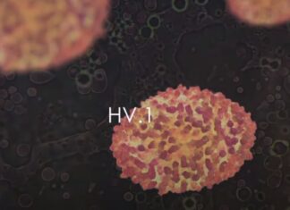 HV.1 Dominant Covid Variant Symptoms Vaccines