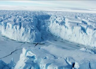 North Greenland Ice Shelves Lost