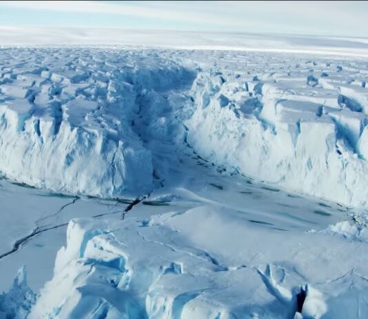 North Greenland Ice Shelves Lost