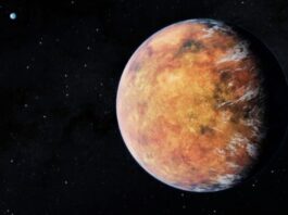 ancient alien life