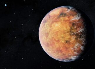 ancient alien life