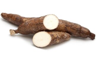 Cassava Health Risks