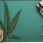Raw Organic Hemp vs. Traditional Rolling Papers